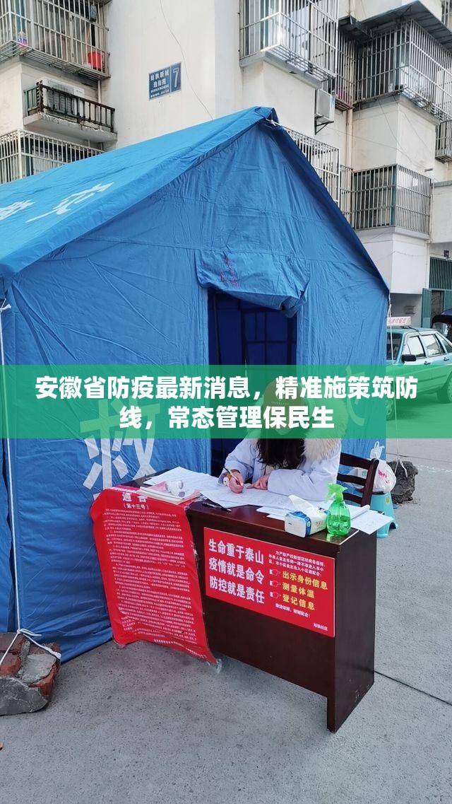 安徽省防疫最新消息，精准施策筑防线，常态管理保民生