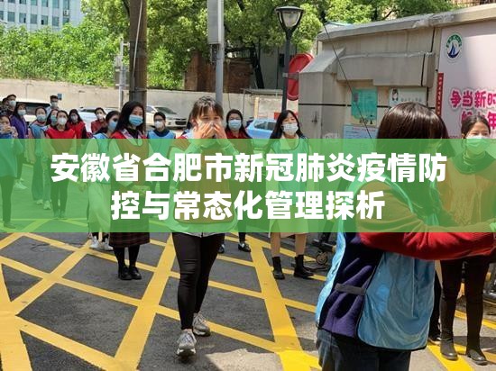 安徽省合肥市新冠肺炎疫情防控与常态化管理探析