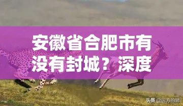 安徽省合肥市有没有封城？深度解析当前疫情防控措施