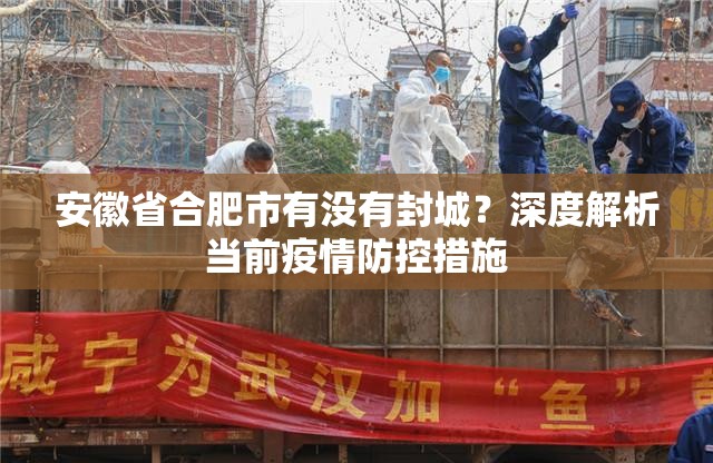 安徽省合肥市有没有封城？深度解析当前疫情防控措施