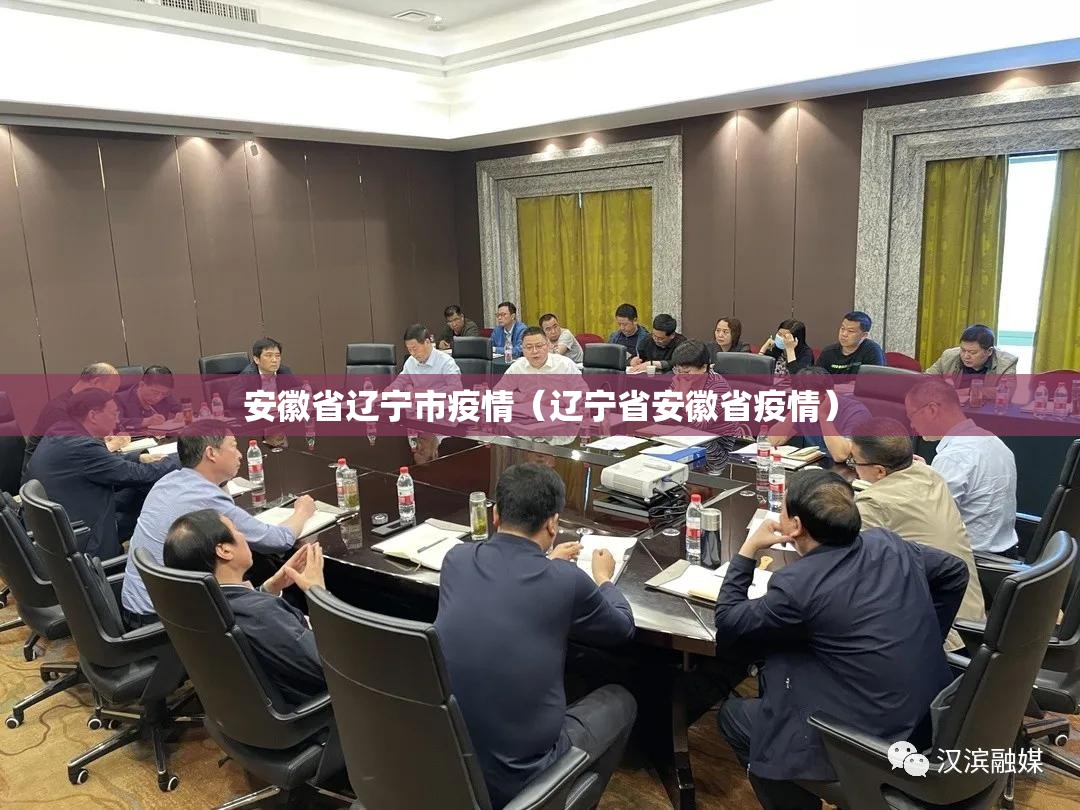 安徽省辽宁市疫情（辽宁省安徽省疫情）