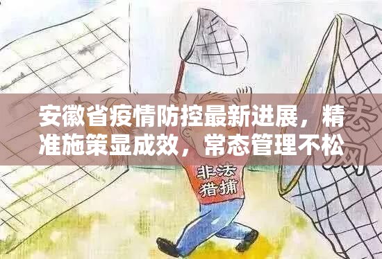 安徽省疫情防控最新进展，精准施策显成效，常态管理不松懈