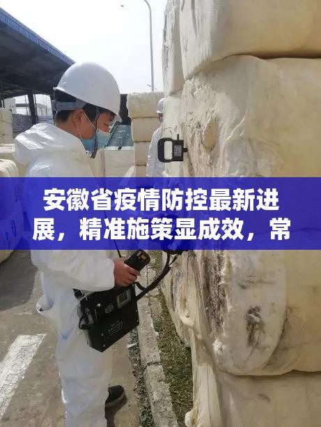 安徽省疫情防控最新进展，精准施策显成效，常态管理不松懈
