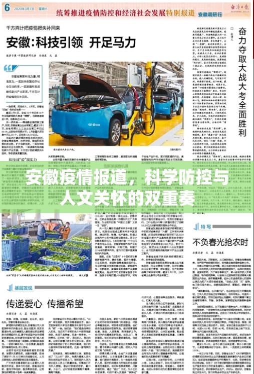 安徽疫情报道，科学防控与人文关怀的双重奏