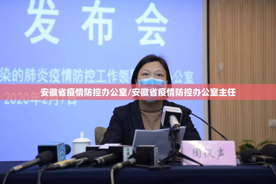 安徽省疫情防控办公室/安徽省疫情防控办公室主任
