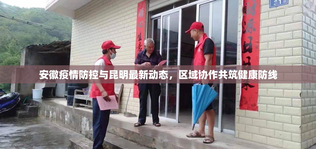 安徽疫情防控与昆明最新动态，区域协作共筑健康防线