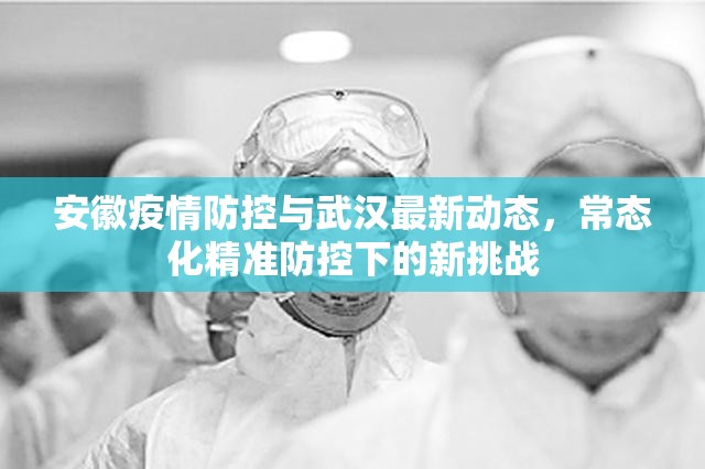 安徽疫情防控与武汉最新动态，常态化精准防控下的新挑战