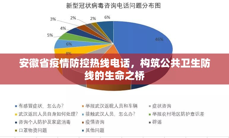 安徽省疫情防控热线电话，构筑公共卫生防线的生命之桥