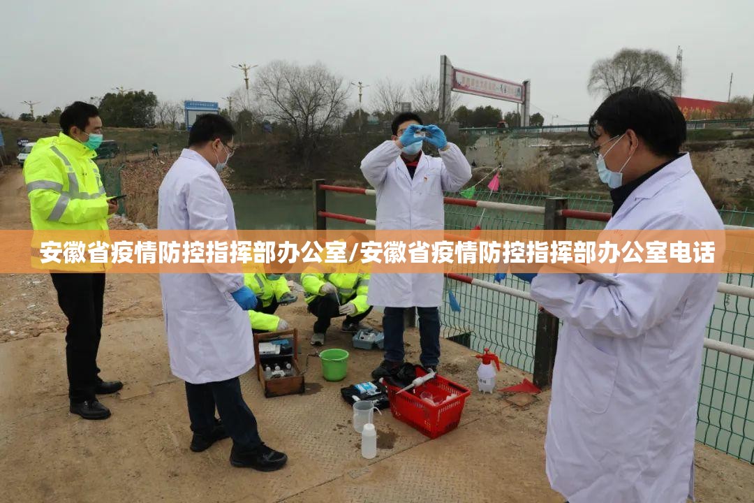 安徽省疫情防控指挥部办公室/安徽省疫情防控指挥部办公室电话