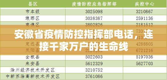 安徽省疫情防控指挥部电话，连接千家万户的生命线