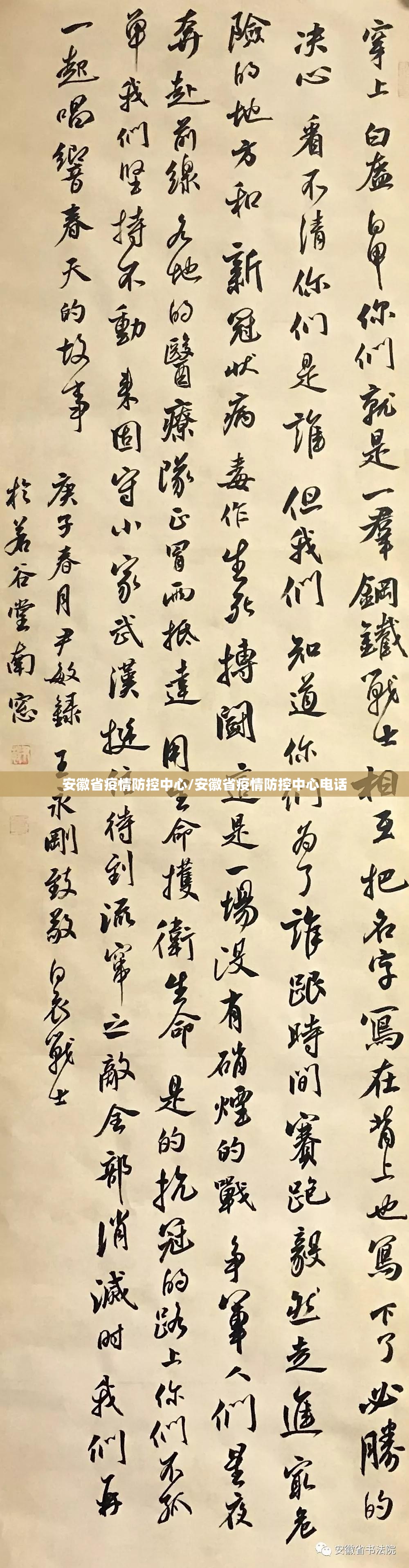 安徽省疫情防控中心/安徽省疫情防控中心电话
