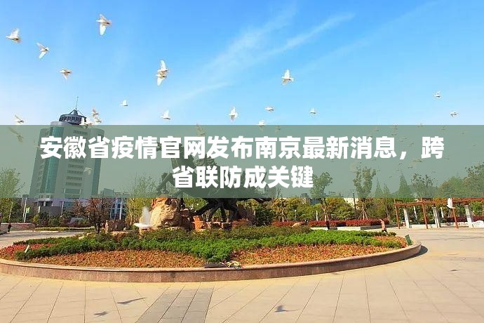 安徽省疫情官网发布南京最新消息，跨省联防成关键