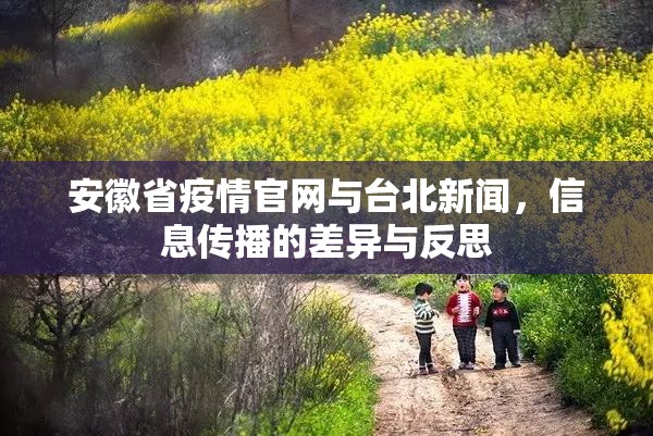 安徽省疫情官网与台北新闻，信息传播的差异与反思