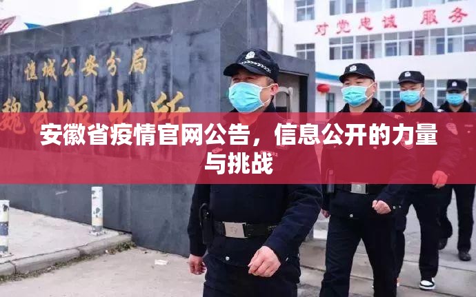 安徽省疫情官网公告，信息公开的力量与挑战