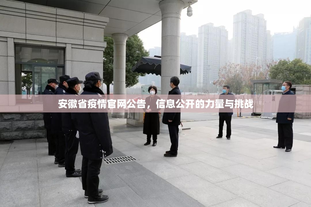 安徽省疫情官网公告，信息公开的力量与挑战