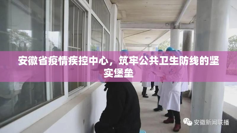 安徽省疫情疾控中心，筑牢公共卫生防线的坚实堡垒