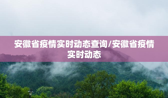 安徽省疫情实时动态查询/安徽省疫情实时动态