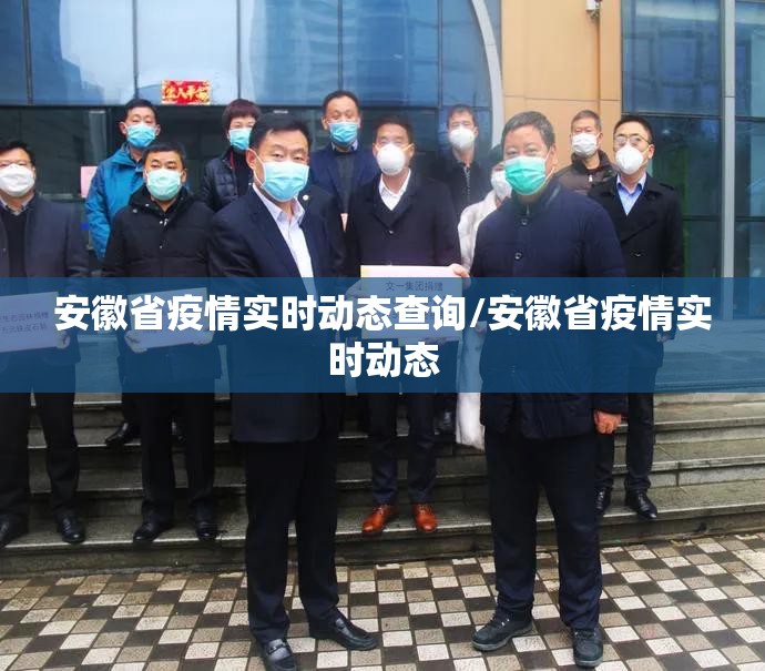 安徽省疫情实时动态查询/安徽省疫情实时动态
