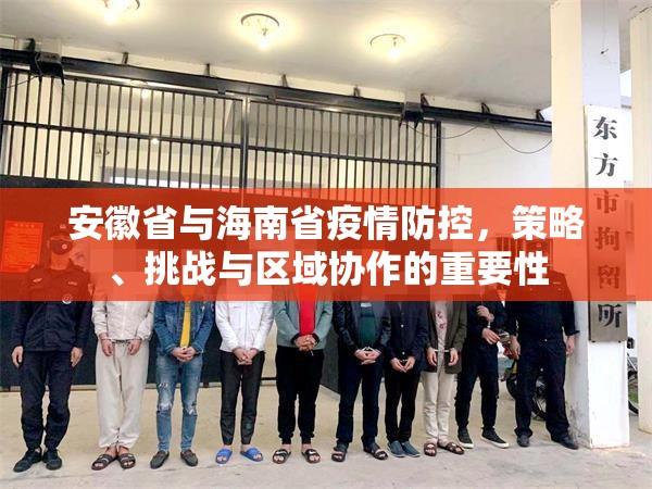 安徽省与海南省疫情防控，策略、挑战与区域协作的重要性