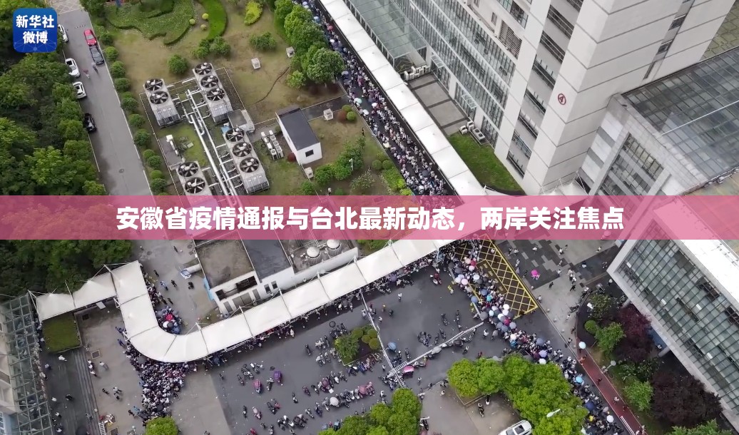 安徽省疫情通报与台北最新动态，两岸关注焦点