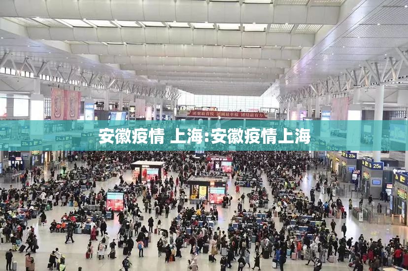 安徽疫情 上海:安徽疫情上海