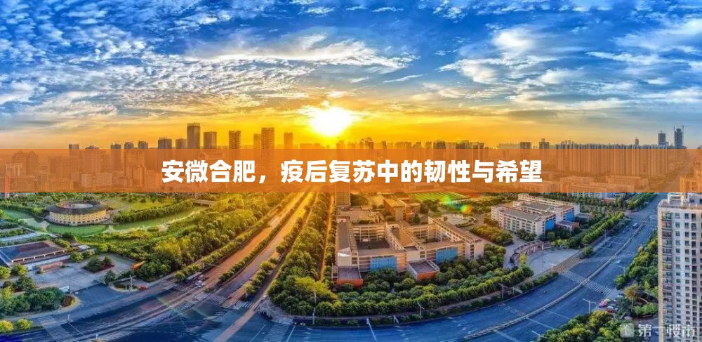 安微合肥，疫后复苏中的韧性与希望