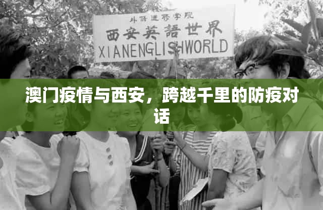 澳门疫情与西安，跨越千里的防疫对话