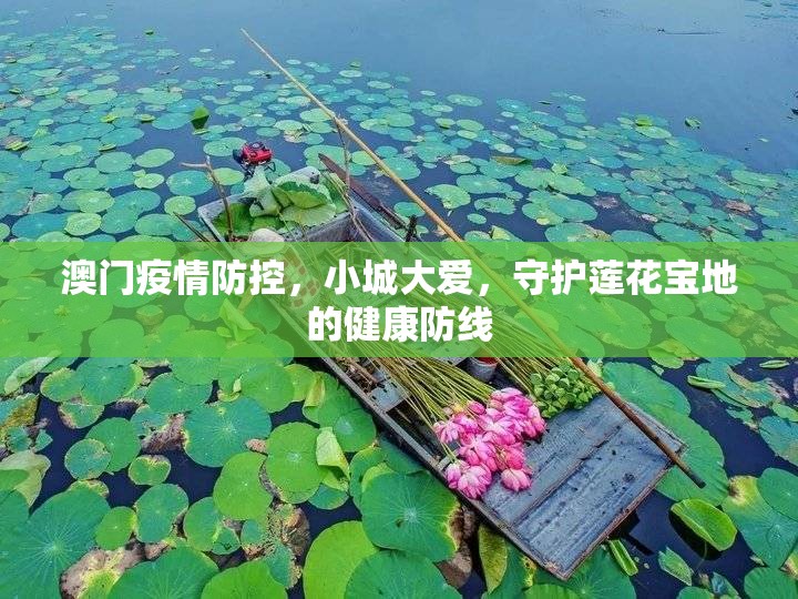 澳门疫情防控，小城大爱，守护莲花宝地的健康防线