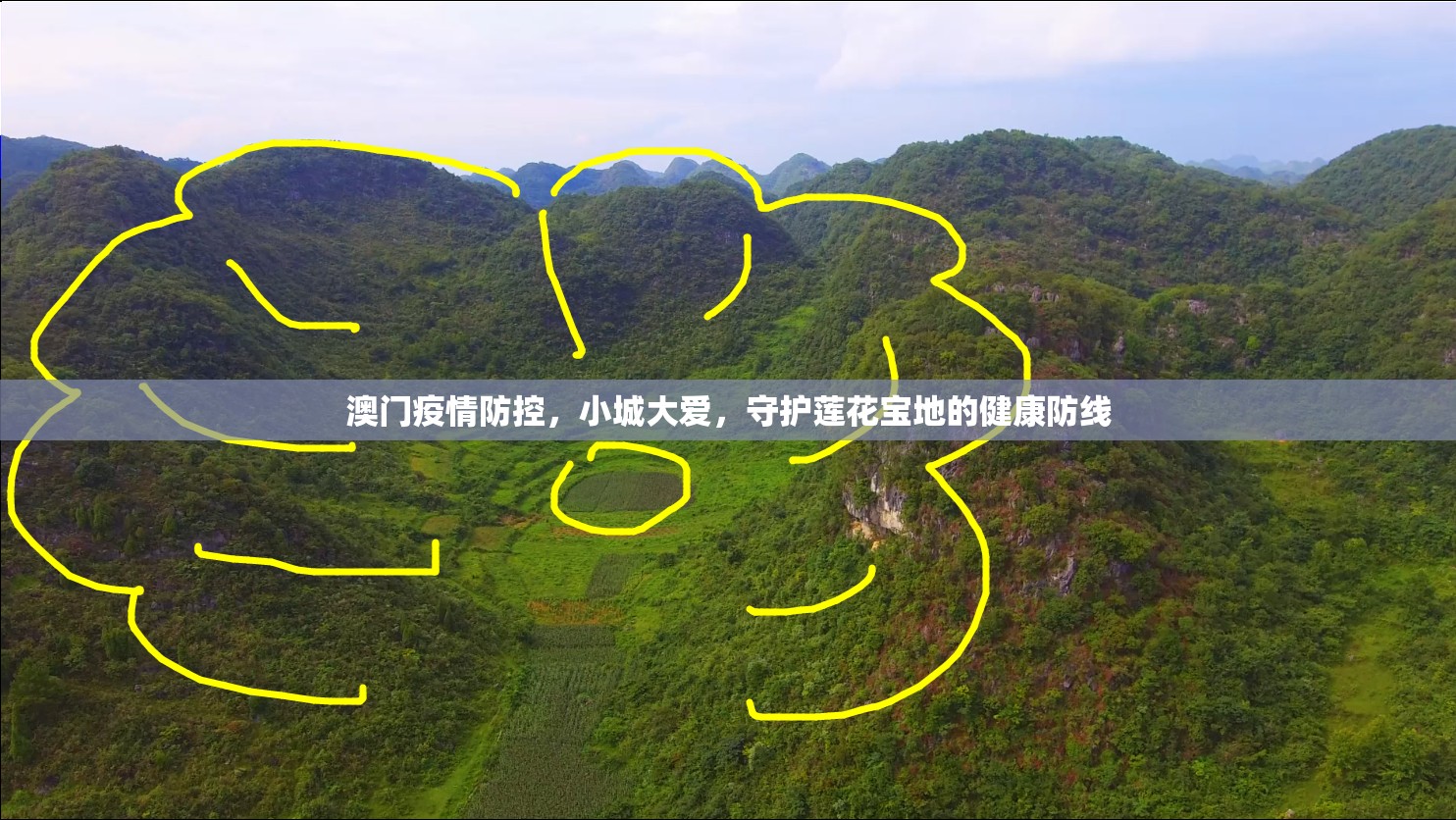 澳门疫情防控，小城大爱，守护莲花宝地的健康防线