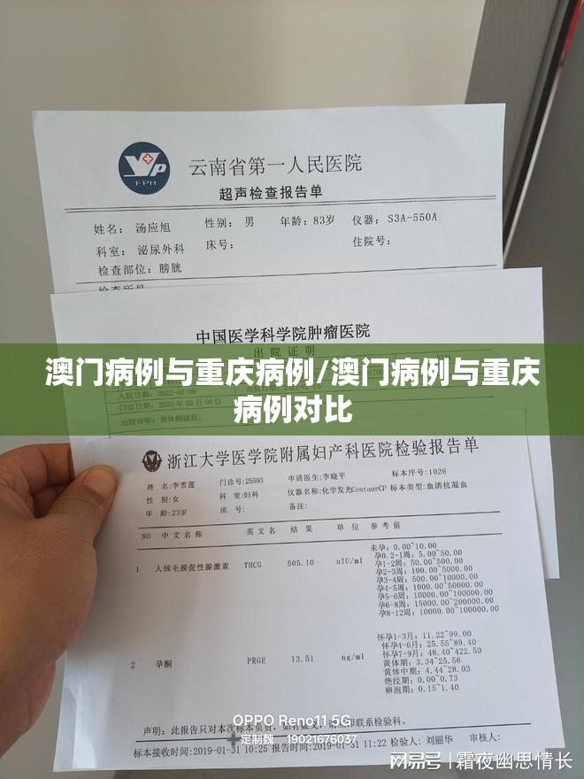 澳门病例与重庆病例/澳门病例与重庆病例对比