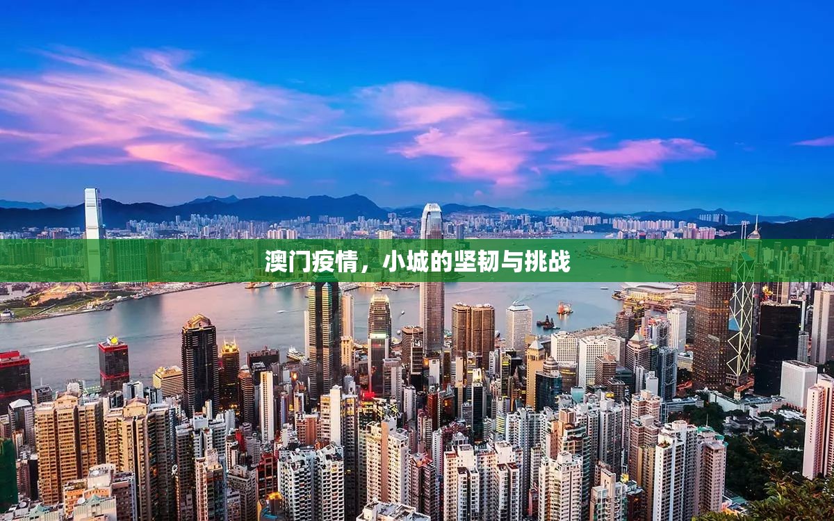澳门疫情，小城的坚韧与挑战