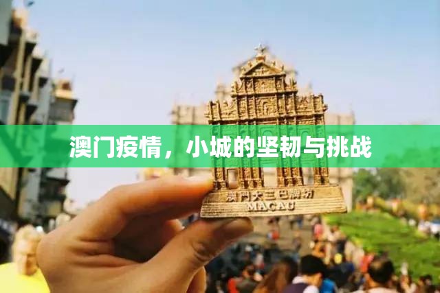 澳门疫情，小城的坚韧与挑战