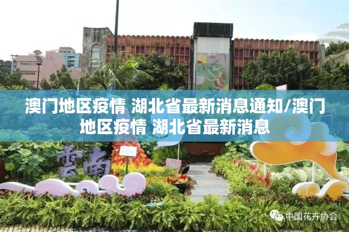 澳门地区疫情 湖北省最新消息通知/澳门地区疫情 湖北省最新消息