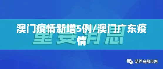 澳门疫情新增5例/澳门广东疫情