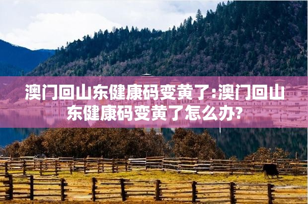 澳门回山东健康码变黄了:澳门回山东健康码变黄了怎么办?