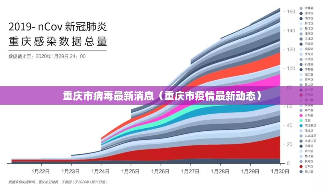 上海疫情局济南分局电话，信息迷雾中的坚守与求索