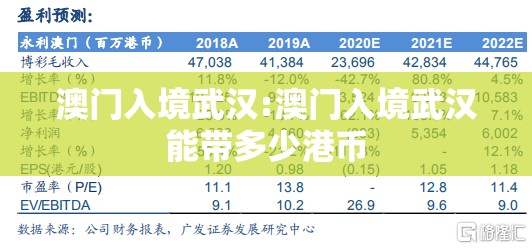 澳门入境武汉:澳门入境武汉能带多少港币