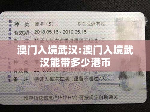 澳门入境武汉:澳门入境武汉能带多少港币