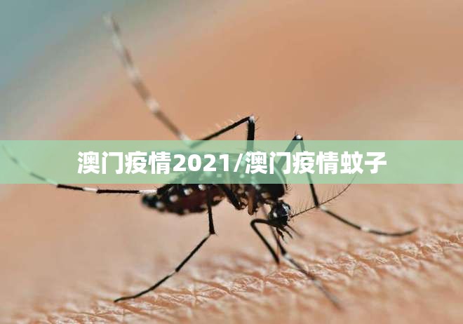 澳门疫情2021/澳门疫情蚊子