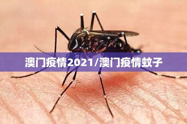 澳门疫情2021/澳门疫情蚊子