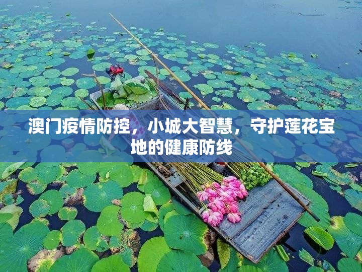 澳门疫情防控，小城大智慧，守护莲花宝地的健康防线