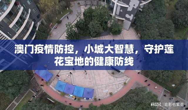 澳门疫情防控，小城大智慧，守护莲花宝地的健康防线