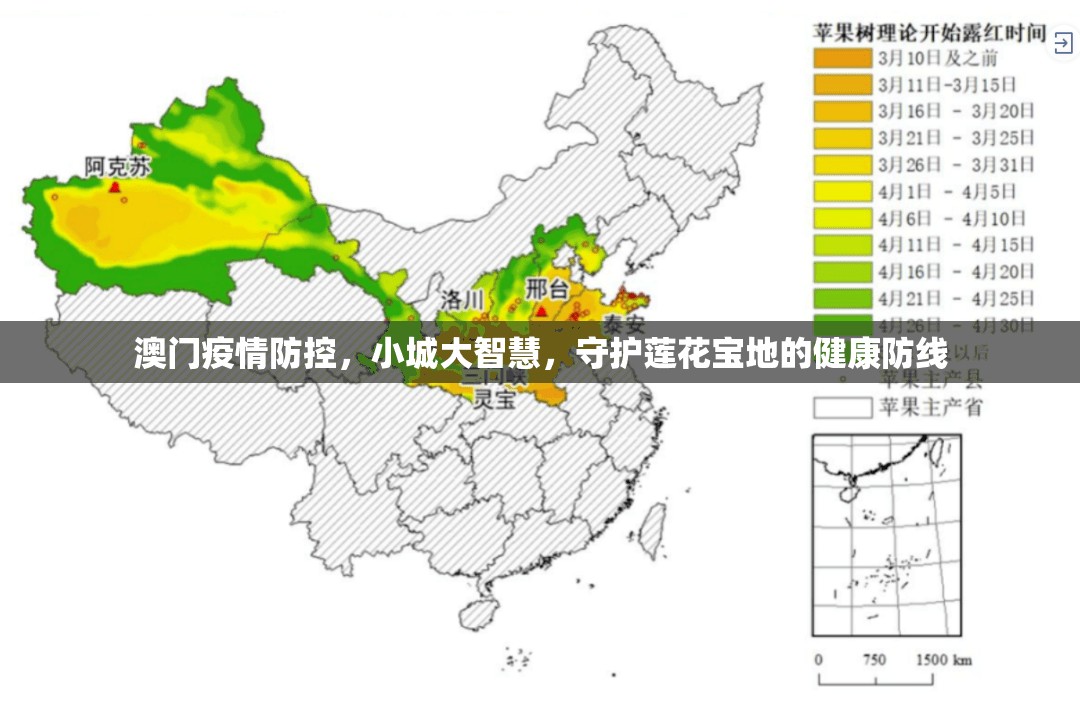 澳门疫情防控，小城大智慧，守护莲花宝地的健康防线