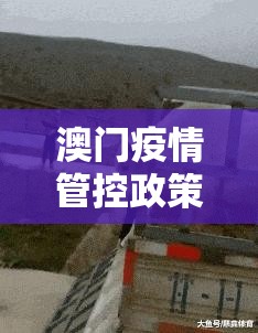 澳门疫情管控政策 吉林省最新:澳门疫情管控政策 吉林省最新消息