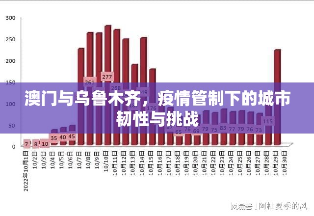 澳门与乌鲁木齐，疫情管制下的城市韧性与挑战