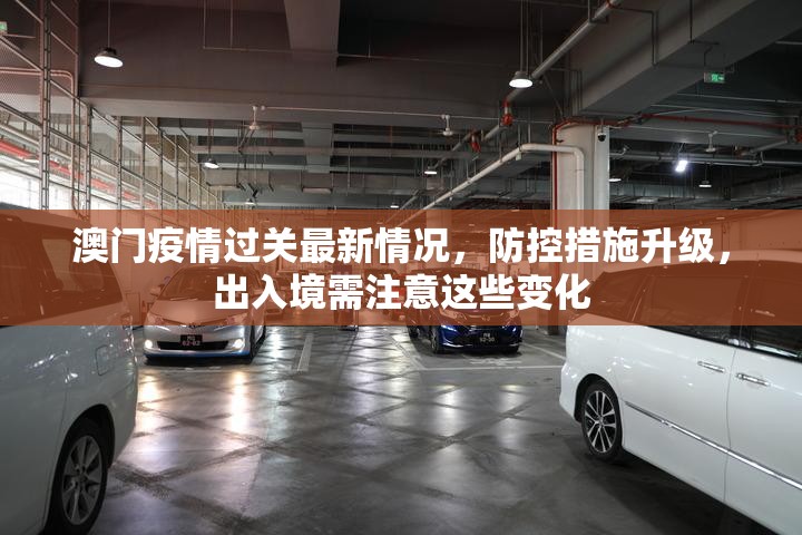 澳门疫情过关最新情况，防控措施升级，出入境需注意这些变化