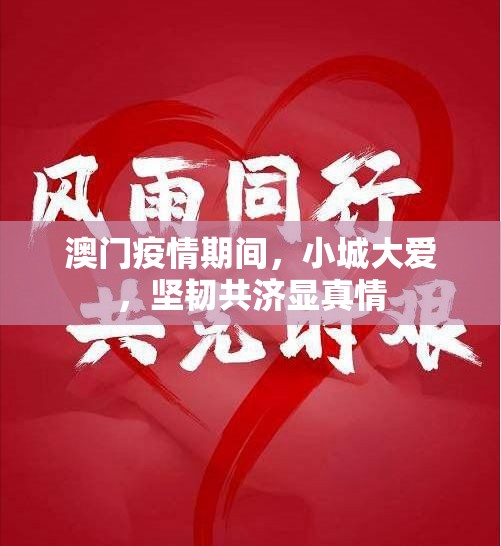 澳门疫情期间，小城大爱，坚韧共济显真情