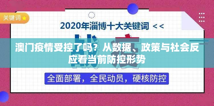 澳门疫情受控了吗？从数据、政策与社会反应看当前防控形势