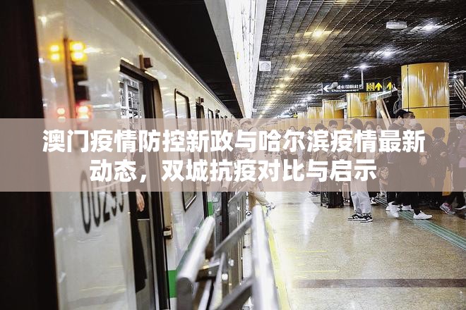 澳门疫情防控新政与哈尔滨疫情最新动态，双城抗疫对比与启示
