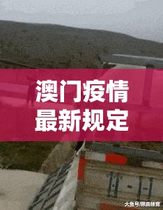 澳门疫情最新规定政策:澳门疫情最新规定政策查询